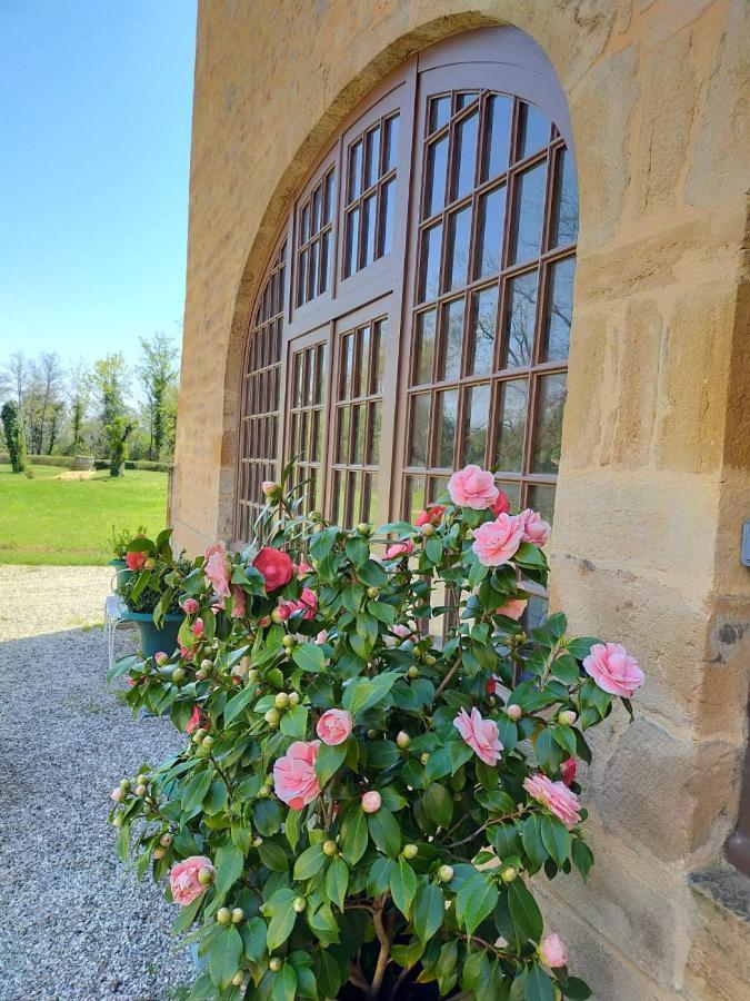 Chateau De La Venerie Denice Exterior photo
